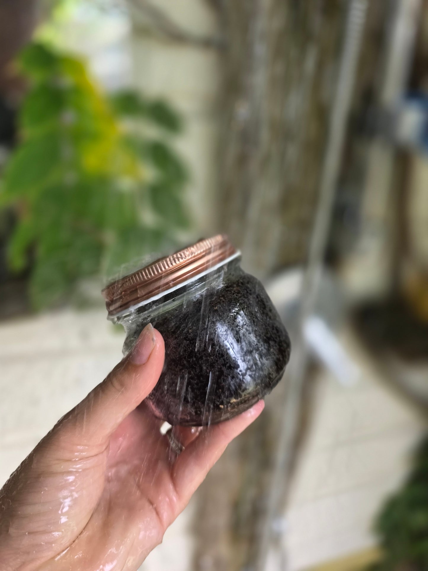 Vanilla Latte Body Scrub 🤎